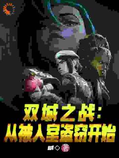 麦罗爆爆主角的小说完结版双城之战：从被入室盗窃开始全集-欧迈阅读网