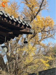 抖音爆款小说道北风云王敏姜武免费txt全文阅读