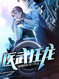 免费试读主角龙飞安慧小说