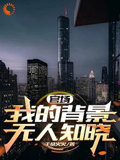 徐天来刘阳小说全文免费阅读官场:我的背景无人知晓全文免费阅读