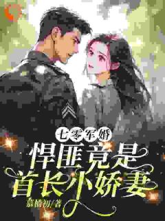七零军婚,悍匪竟是首长小娇妻沈单染沈辞无广告在线阅读-欧迈阅读网