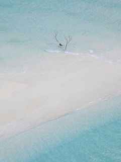 白雪王后小说(后妈是恶毒黑女巫)_白雪王后小说最新章节-欧迈阅读网