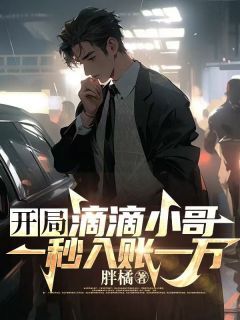 开局滴滴小哥，一秒入账一万小说免费阅读 任宇陈雪大结局完整版-欧迈阅读网