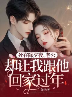 熬夜也要看完的死在除夕夜,老公却让我跟他回家过年小说推荐