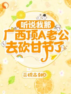 何清川韦禹泽全章节阅读-听说我那广西顶A老公去砍甘节了全文分享阅读