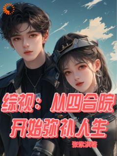 书荒必备综视：从四合院开始弥补人生全文章节阅读-欧迈阅读网