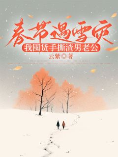 主角嘉静志诚小说，春节遇雪灾，我囤货手撕渣男老公免费阅读全文