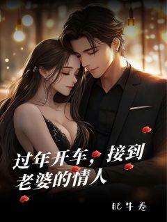 肥牛卷写的小说过年开车，接到老婆的情人卢淼徐幕尘全文阅读