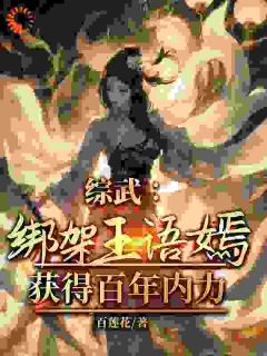 抖音综武：绑架王语嫣，获得百年内力txt小说阅读