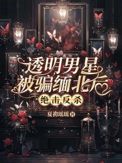 透明男星被骗缅北后，绝击反杀小说(完结版)-陈欣微李蕊在线阅读