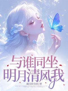 与谁同坐,明月清风我未删减阅读