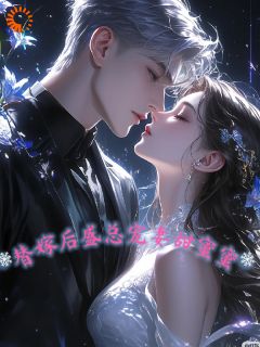 替嫁后,盛总宠妻甜蜜蜜小说免费阅读 叶璟心盛陌晨大结局完整版