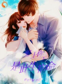 叶芝婷宴鸿孝小说哪里可以看 小说爱你,是此生宿命全文免费阅读