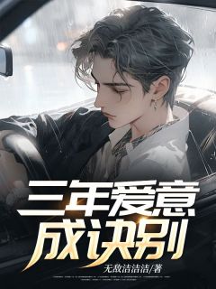 精品小说三年爱意成诀别全文目录畅读