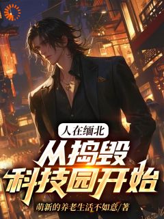 全章节小说人在缅北,从捣毁科技园开始萌新的养老生活不如意最新阅读