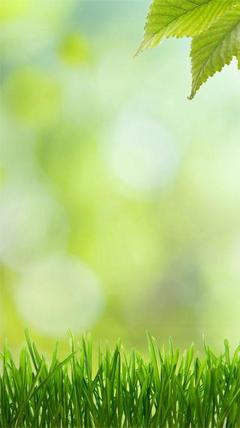 主人公苏鹤年林清俞在线免费试读她变心后,我的千亿身家曝光了最新章节列表