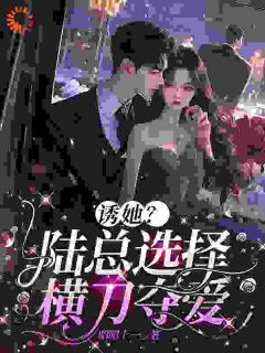 诱她？陆总选择横刀夺爱完整版-南稚陆凛安在线全文阅读
