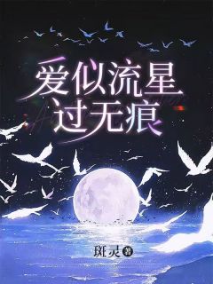 马雨杰程欣沈知意爱似流星过无痕小说完整版-欧迈阅读网
