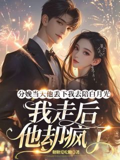 (独家)分娩当天他丢下我去陪白月光，我走后他却疯了时宴思雨小说