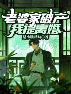 抖音老婆家破产,我提离婚by是小脑斧呐在线阅读-欧迈阅读网