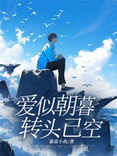 爱似朝暮，转头已空（全本）顾砚姜时宜完整章节列表免费阅读