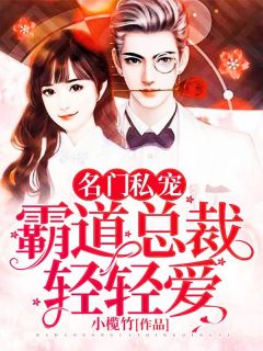 名门私宠：霸道总裁轻轻爱小说全章节目录阅读BY小榄竹完结版阅读