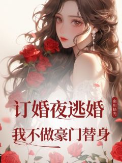 【订婚夜逃婚，我不做豪门替身】主角(林清沫陆瑾琛)在线阅读-欧迈阅读网