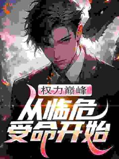 权力巅峰：从临危受命开始by一玄堂益智(马正国周永安)未删节免费阅读