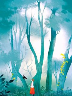 宋雯陆维白薇全章节阅读-我金牌律师辞职后,老公的公司垮了全文分享阅读