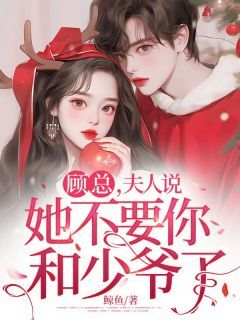 顾总,夫人说她不要你和少爷了许念顾云琛-鲸鱼小说-欧迈阅读网