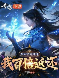 陈锋沈茹秋弄禅小说全章节最新阅读