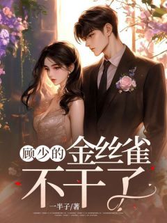 好书推荐顾少的金丝雀不干了宋韵顾言泽全文在线阅读