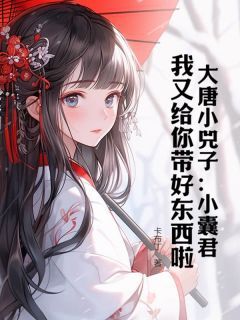 正版小说大唐小兕子:小囊君,我又给你带好东西啦徐安李明达在线免费阅读