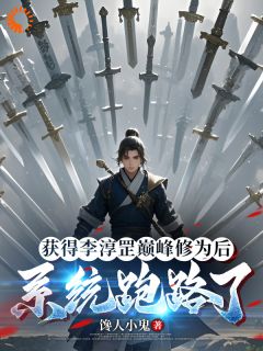 获得李淳罡巅峰修为后系统跑路了(苏辰赵婉儿)小说全章节目录阅读