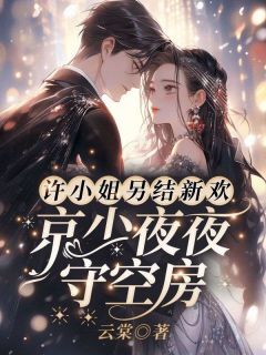 (抖音)许愿傅京礼番外篇许愿盛景炎小说免费全文阅读