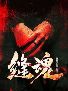 抖音小说缝魂宋九灵喳秀英全文txt