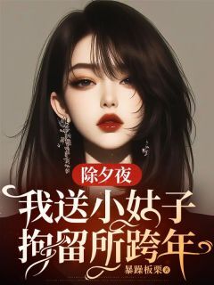 除夕夜,我送小姑子拘留所跨年小说(完结版)-欣欣颜启颜琳玲在线阅读