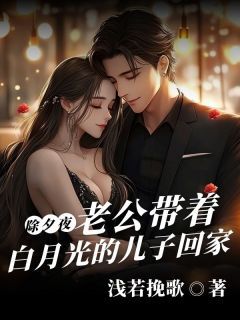 除夕夜,老公带着白月光的儿子回家苏温婉陈强小说全文章节阅读-欧迈阅读网