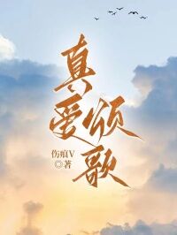 陆槐北吴心瑶是哪部小说的主角 真爱颂歌全文无弹窗