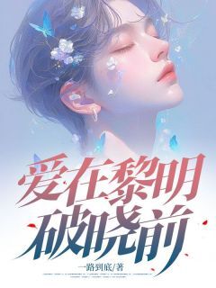 正版小说爱在黎明破晓前贺黎明林如烟糖糖在线免费阅读