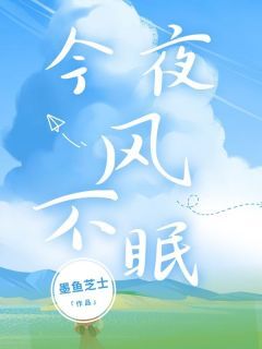 今夜风不眠宋妍魏辰今夜风不眠全文免费阅读【完整章节】-欧迈阅读网