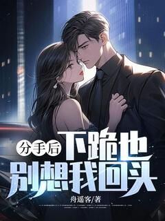 【热文】分手后,下跪也别想我回头主角齐夏林念秋小说全集免费阅读