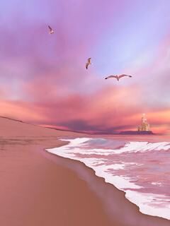 长乐应辰全本章节在线阅读大结局