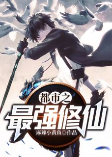 都市之最强修仙小说张南田盈盈最新章节阅读