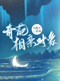 奇葩相亲对象李琳宋家凯李朗大结局在线阅读-欧迈阅读网