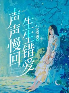 老书虫书荒推荐声声慢回生生错爱txt小说阅读