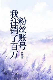 无弹窗小说我注销了百万粉丝账号 作者梦梦5