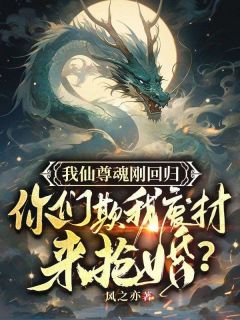 老书虫书荒推荐我仙尊魂刚回归,你们欺我废柴来抢婚?txt小说阅读-欧迈阅读网