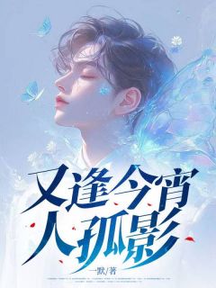 又逢今宵人孤影(沐雨乘风小说)小说最新章节