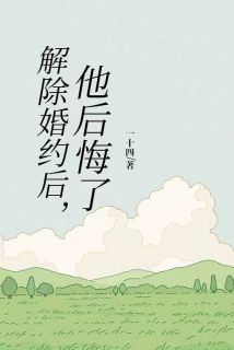 解除婚约后，他后悔了全文目录-林芃芃陆朔小说无弹窗阅读